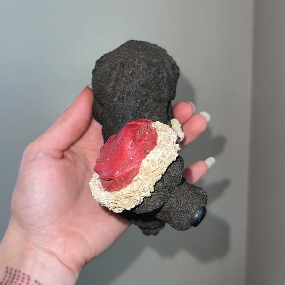 Christmas puppy - Picture 6 of 7